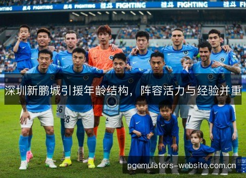 深圳新鹏城引援年龄结构，阵容活力与经验并重