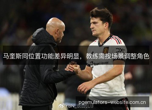马奎斯同位置功能差异明显，教练需按场景调整角色